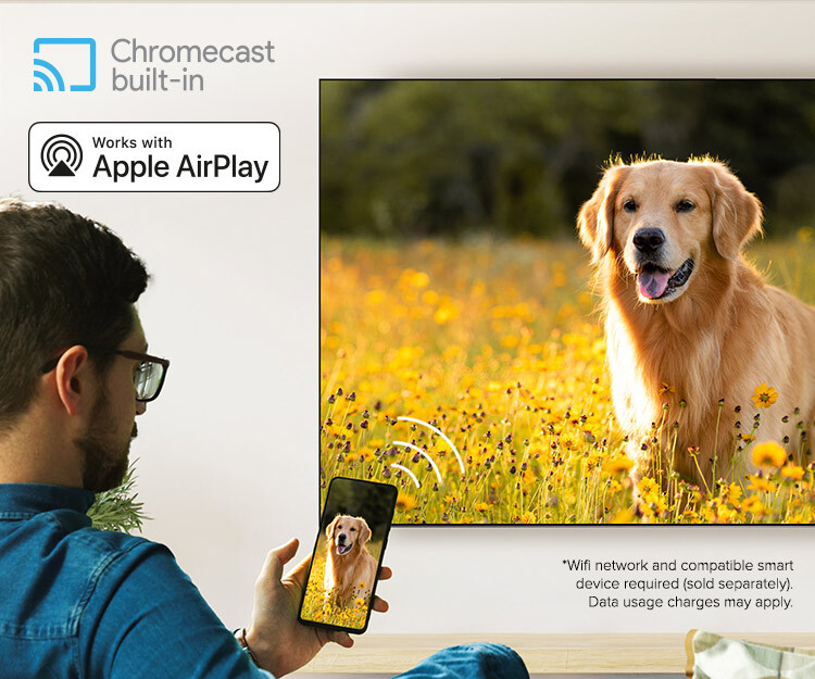 Chromecast Apple AirPlay